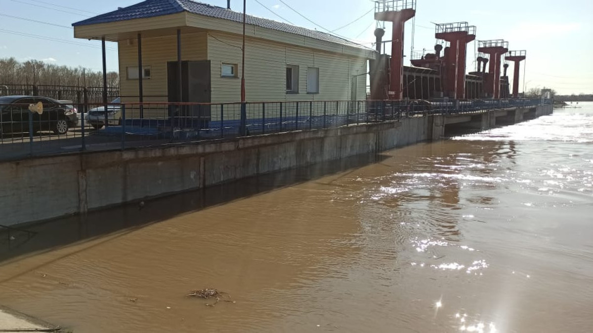  Наталья Волкова