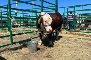 Фотография к новости: На многомилионные убытки из-за земельных исков госоргана пожаловались фермеры Акмолинской области