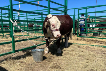 Фотография к новости: На многомилионные убытки из-за земельных исков госоргана пожаловались фермеры Акмолинской области