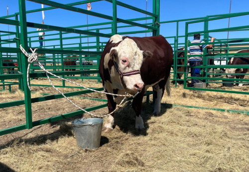 Фотография к новости: На многомилионные убытки из-за земельных исков госоргана пожаловались фермеры Акмолинской области