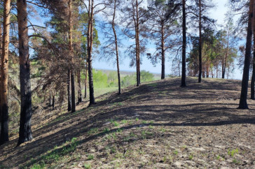 Фотография к новости: Готов ли резерват "Семей Орманы" к пожароопасному сезону