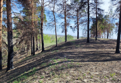 Фотография к новости: Готов ли резерват "Семей Орманы" к пожароопасному сезону