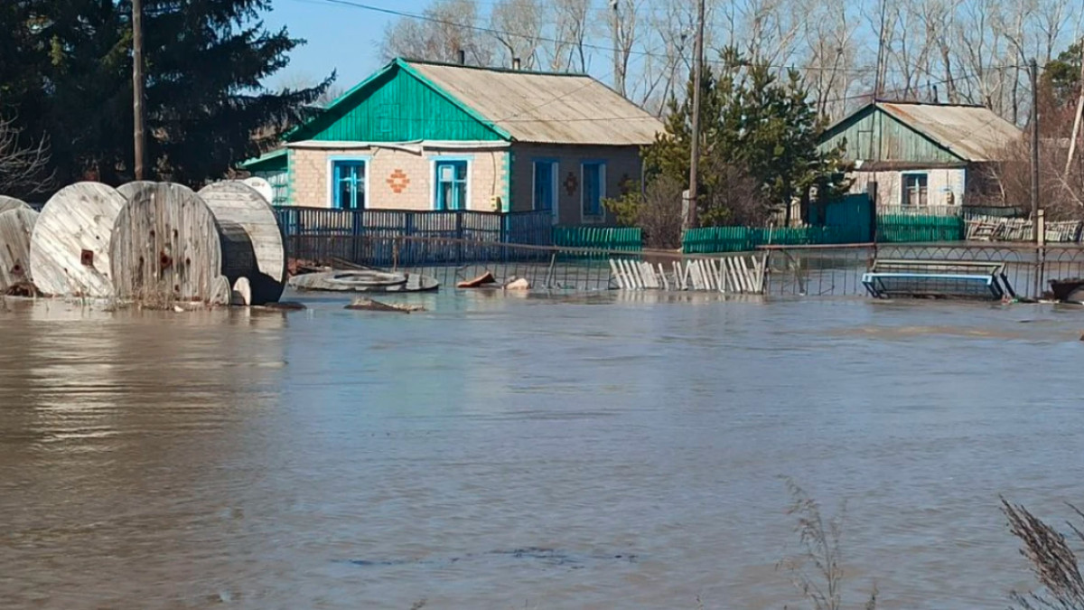  Наталья Волкова