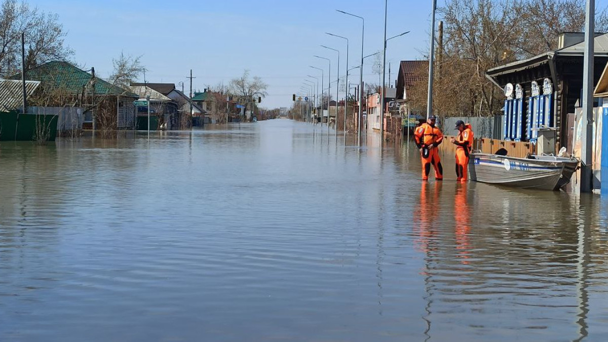  Наталья Волкова.