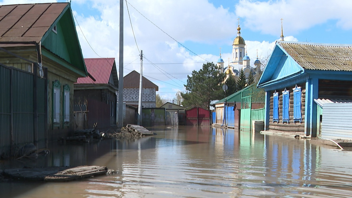  Наталья Волкова