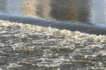 Фотография к новости: Паразиты, холерный вибрион, тяжёлые металлы: что показали пробы воды из столичных рек