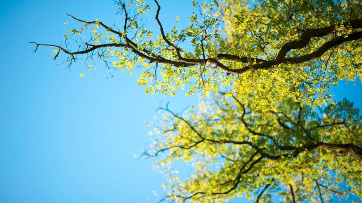  pixabay / иллюстративное фото