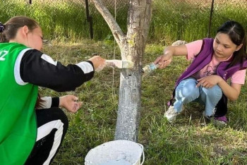 Фотография к новости: Субботники проводят у домов ветеранов в Туркестанской области в рамках акции "Таза Қазақстан"