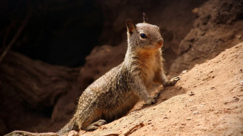 Фотография к новости: Засуха в мае: синоптики уточнили прогноз погоды по Казахстану
