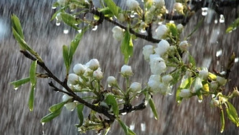 Фотография к новости: Грозы, дожди и сильный ветер ожидаются в Казахстане