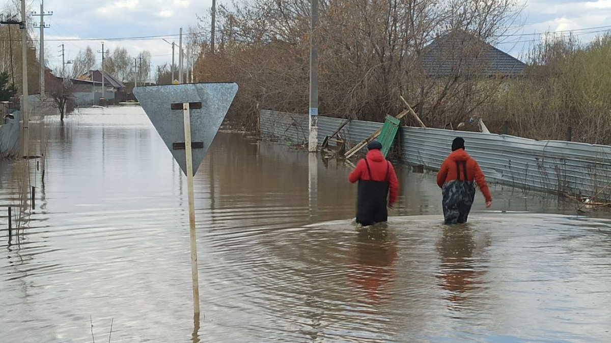  Наталья Волкова