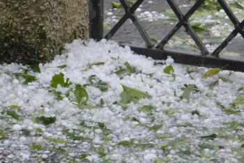 Фотография к новости: Дождь, ветер и град: в Астане и 13 регионах страны объявлено штормовое предупреждение