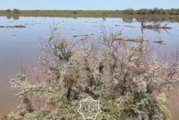 Фотография к новости: Уровень воды в реке Жайык продолжает расти