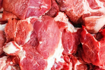 Фотография к новости: Многочисленные нарушения в сфере ветеринарии выявила прокуратура в Астане