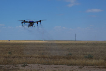 Фотография к новости: Земли в Туркестанской области обработали от самой опасной саранчи