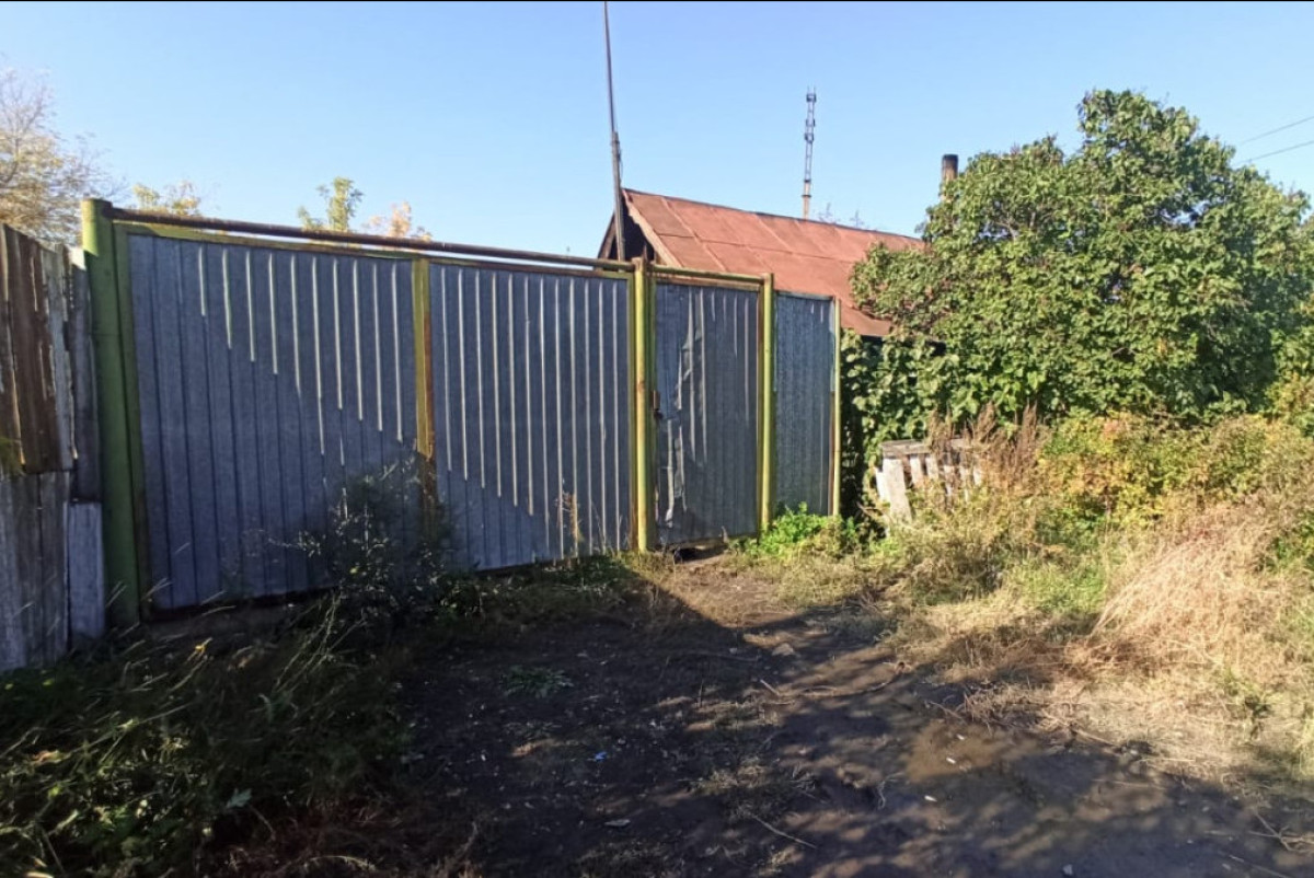  архив Анна Мирская