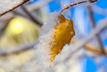 Фотография к новости: Снег прогнозируют синоптики в Казахстане