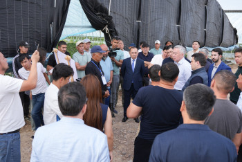 Фотография к новости: Не можем получить инвестсубсидии - тепличники Казахстана пожаловались вице-премьеру