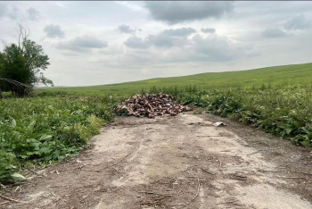 Фотография к новости: Гору из черепов и шкур животных обнаружили в Шымкенте