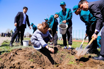 Фотография к новости: Когда начнут принимать заявки на трудоустройство по программе "Жасыл ел" в Астане
