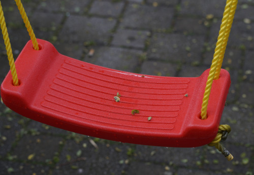 Фотография к новости: Не пускала в школу, не водила к врачам: ещё одна жуткая история приёмной семьи в Акмолинской области