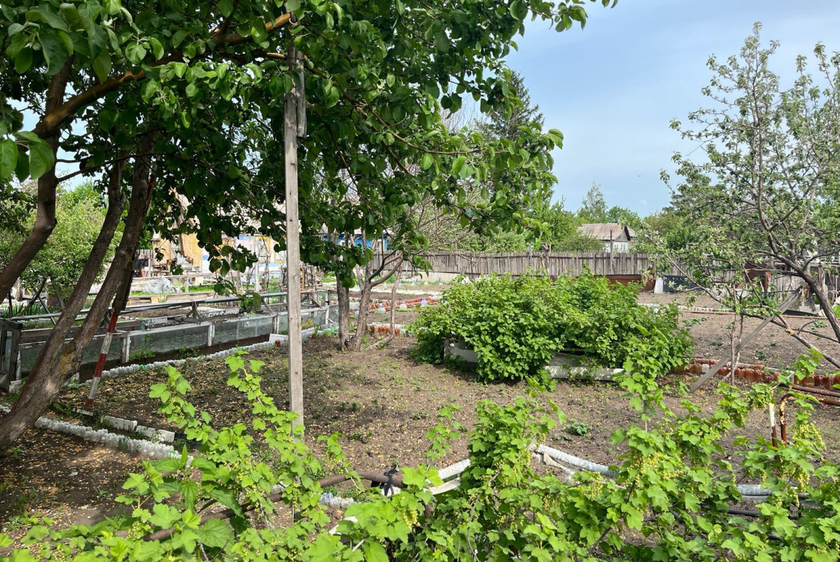  Артём Викторов/BaigeNews.kz