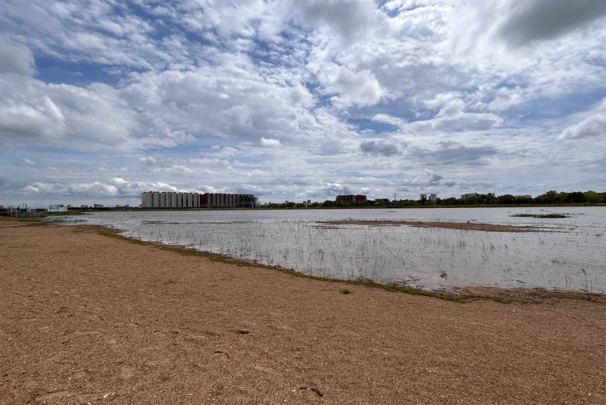  Марк Брюшко.