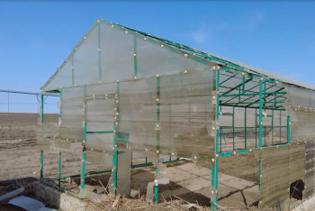 Фотография к новости: Костанайские фермеры показали, какой урон нанёс паводок