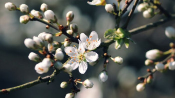 Фотография к новости: 35-градусная жара придет в несколько регионов Казахстана