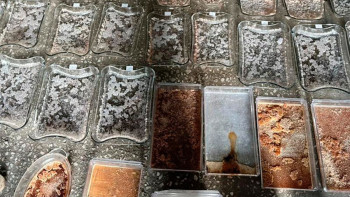 Фотография к новости: Подпольную лабораторию по производству мефедрона прикрыли в Алматы