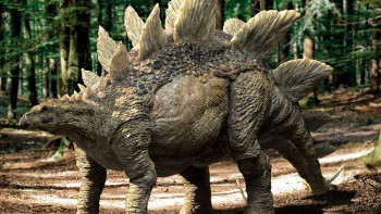 Фотография к новости: Скелет стегозавра продадут за 4-6 млн долларов