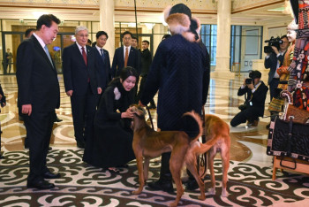 Фотография к новости: Артефакты из золота и казахских тазы показали президенту Южной Кореи