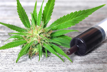 Фотография к новости: 3,5  кг гашишного масла пытались провезти в Астану через таможню