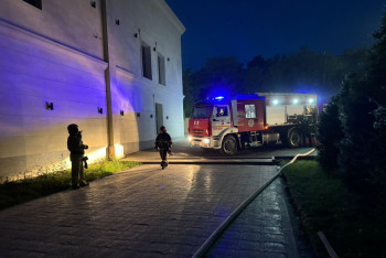 Фотография к новости: В Павлодаре загорелся ресторан