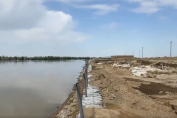 Фотография к новости: В селе Сарайшык начались археологические работы