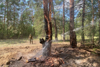 Фотография к новости: Лесные пожары участились в резервате "Семей Орманы" из-за сухих гроз