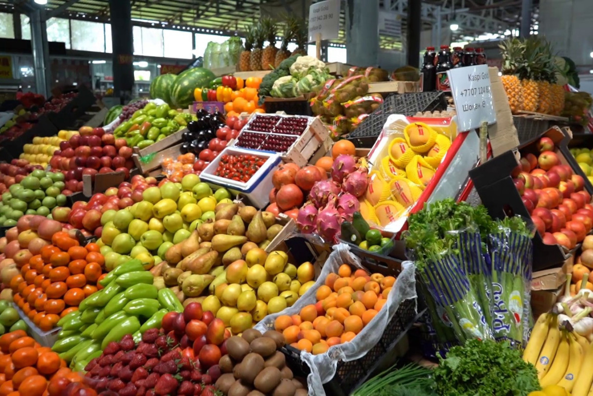  Анастасия Новикова