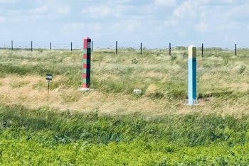 Фотография к новости: Там гнездилища саранчи - в Минсельхоз опасаются нашествия насекомых с Оренбургской области