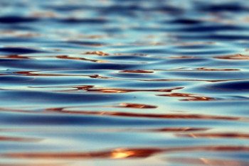 Фотография к новости: Тело утонувшего мужчины нашли спасатели в Павлодарской области