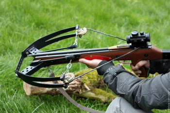 Фотография к новости: В Сербии неизвестный ранил полицейского из арбалета
