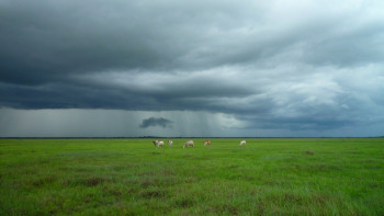 Фотография к новости: Более 22 тысяч гектаров земель вернули государству в Актюбинской области