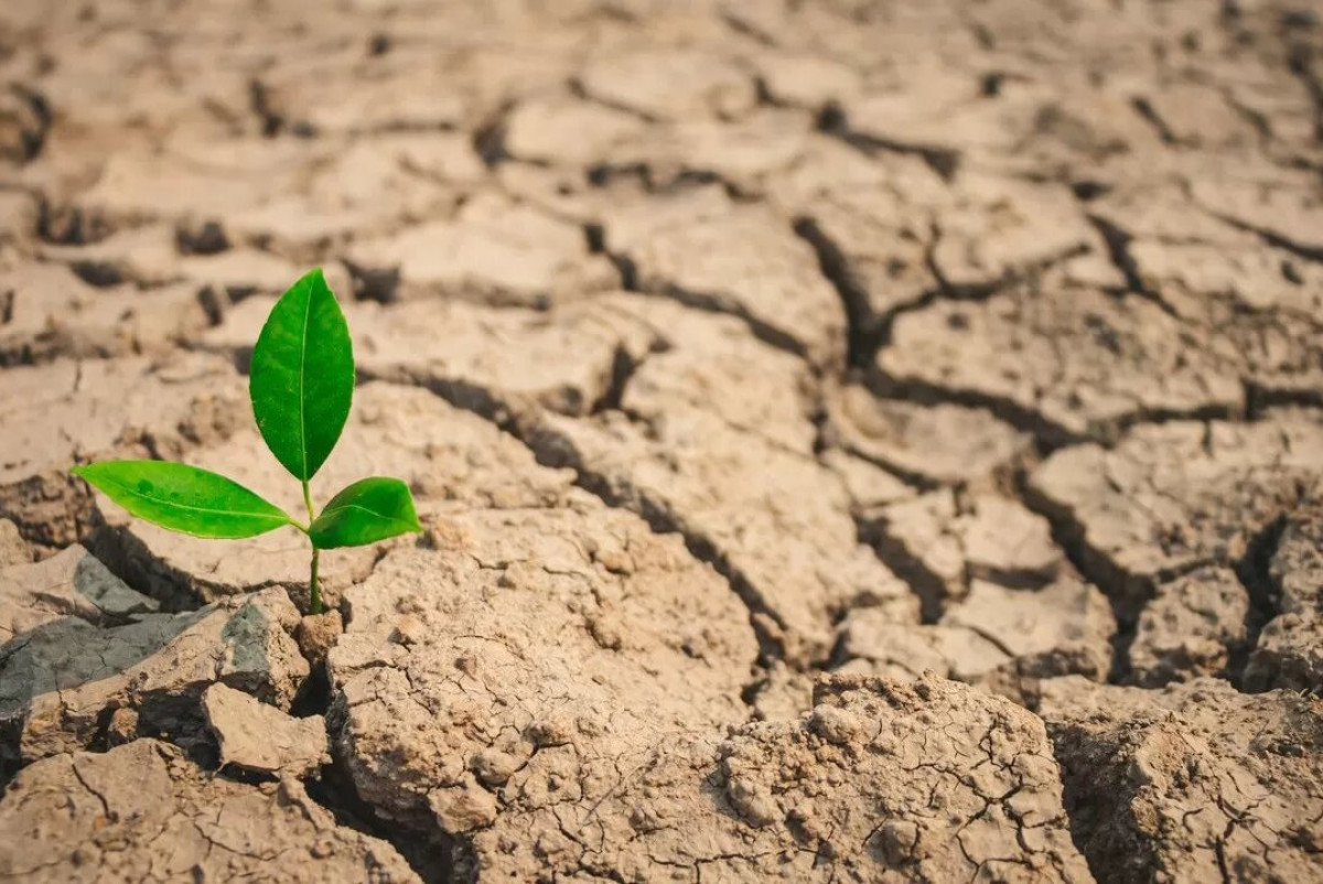  agroportal-ziz.ru