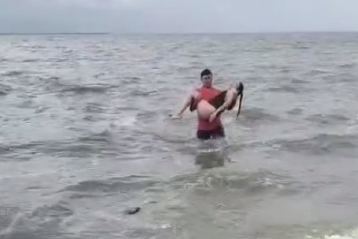  скриншот с видео