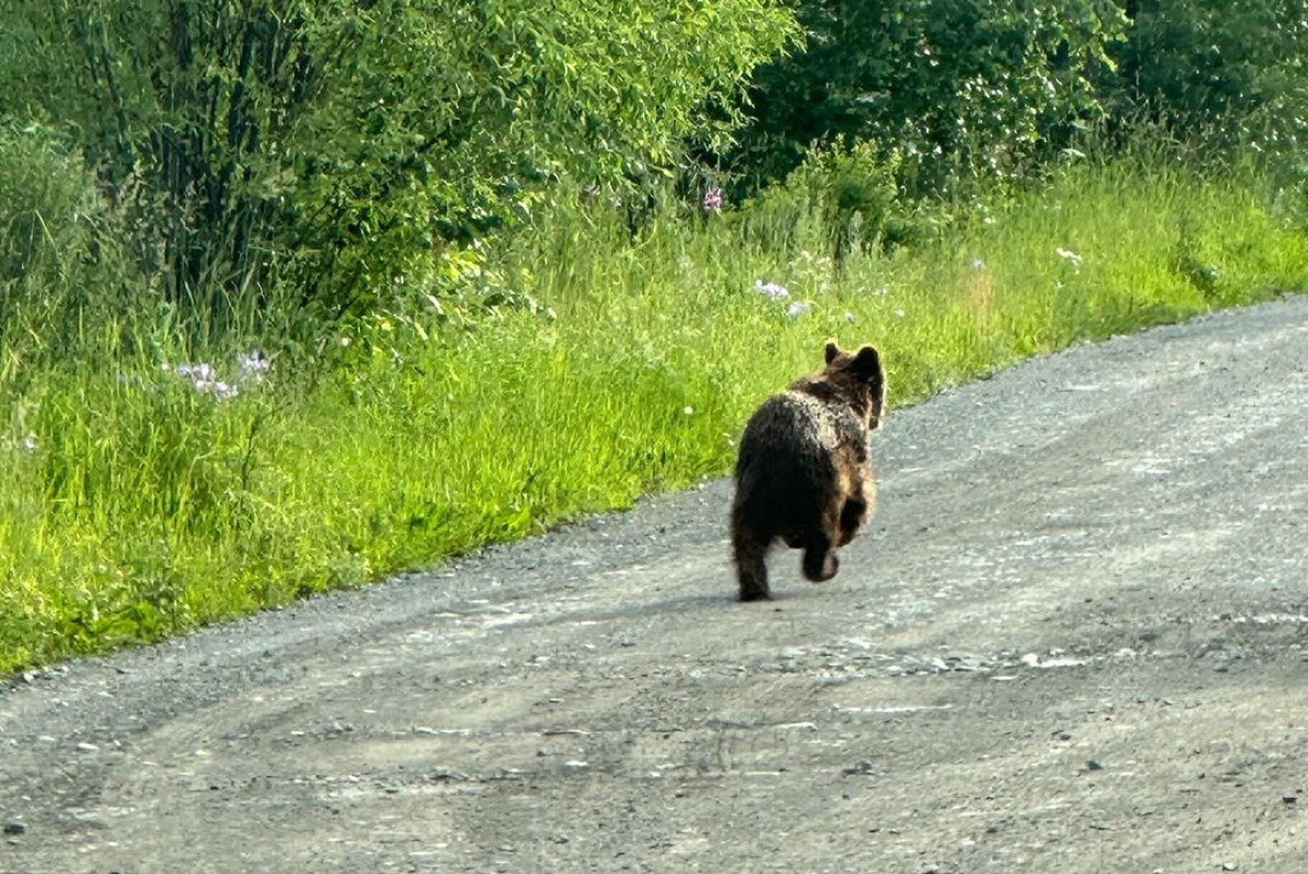  Instagram.com/marina.shirokih