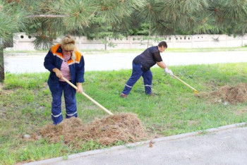 Фотография к новости: Свыше 160 тысяч жителей Жетысу приняли участие в акции "Таза Қазақстан"