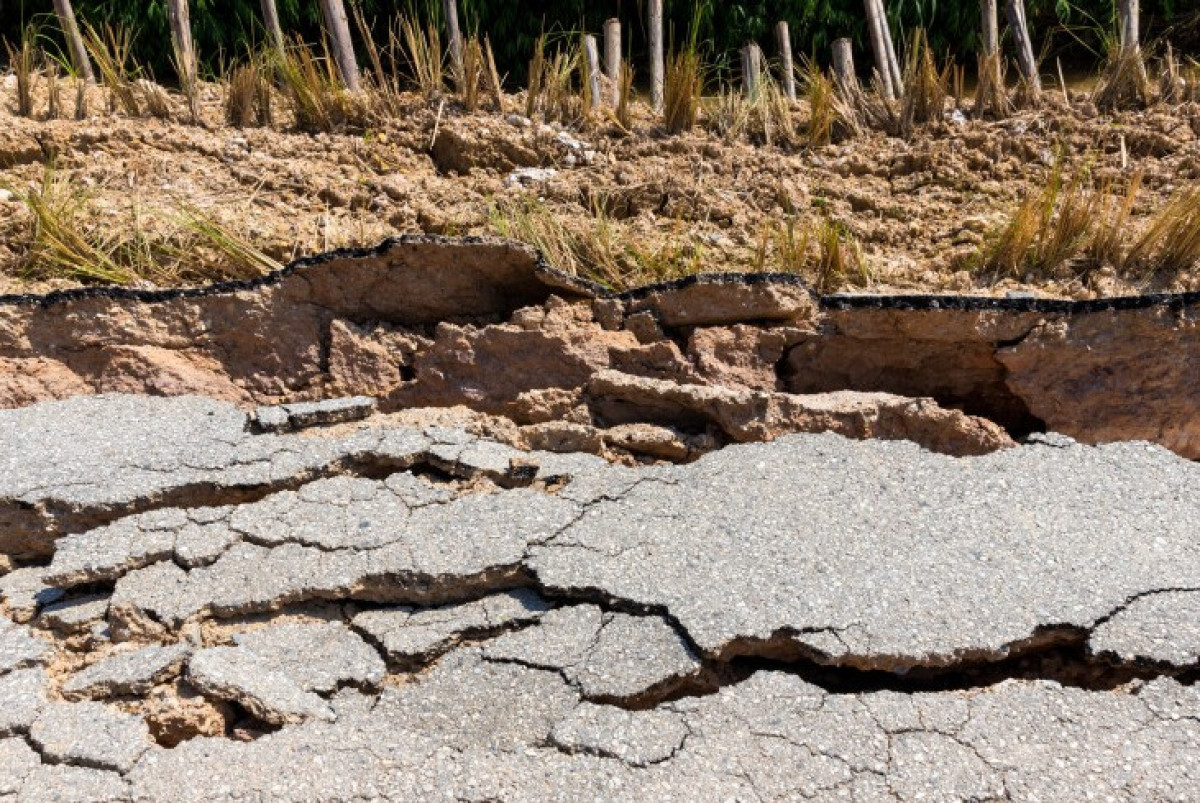  Shutterstock/FOTODOM