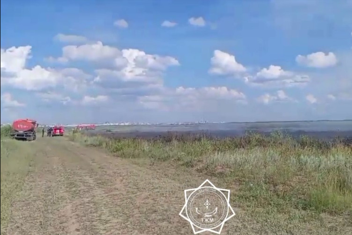  скриншот с видео