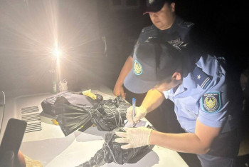 Фотография к новости: Житель Туркестана выращивал коноплю во дворе своего дома