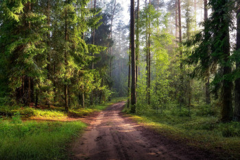 Фотография к новости: Сотни тысяч гектаров земли вернули государству в Костанайской области