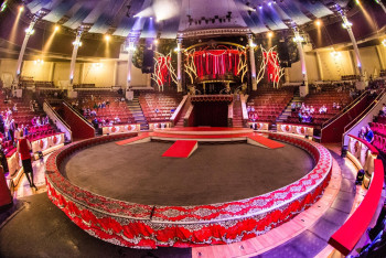 Фотография к новости: Гимнастка упала из-под купола цирка во время представления